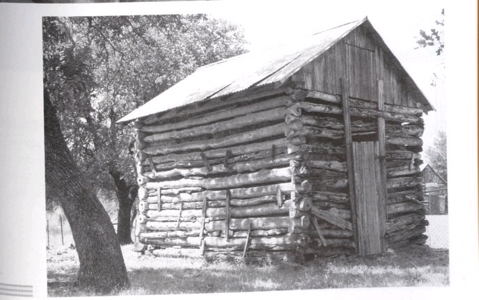Log Cabin circa 1869